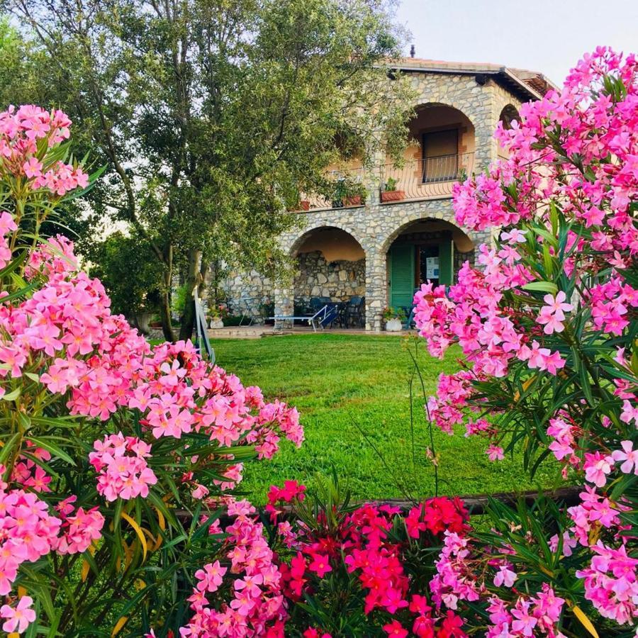 Barbicate * Saturnia